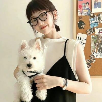 沙滩鼠